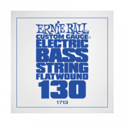 Ernie Ball P01713