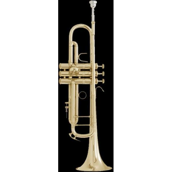 Bach LT18043 Stradivarius  труба Bb профессиональная, лёгкая, bore 11,89mm, лакиров. , с кейсом