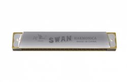 SW20 Swan