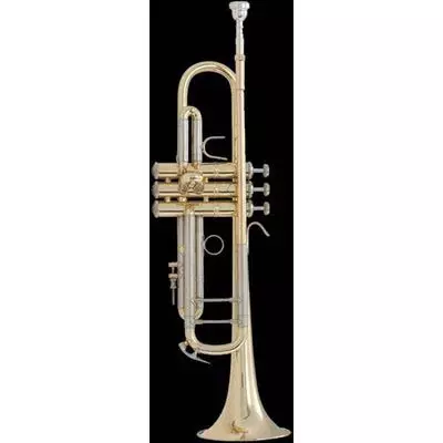 Bach 18072 Stradivarius  труба Bb профессиональная, тяжёлая, bore 11,51/11,66mm, лакир. с кейсом
