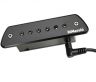 DiMarzio DP234BK The Black Angel™ звукосниматель, черный