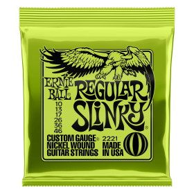 Ernie Ball P02221