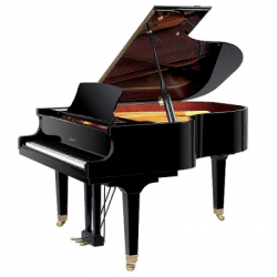 Ritmuller GP170R1(A111)  рояль, 170 см, цвет чёрный, полированный