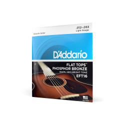 Струны для акустической гитары D'ADDARIO EFT 16