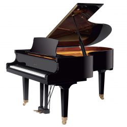 Ritmuller GP188R1(A111)  рояль, 188 см, цвет чёрный, полированный
