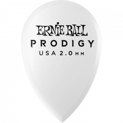 Ernie Ball P09336