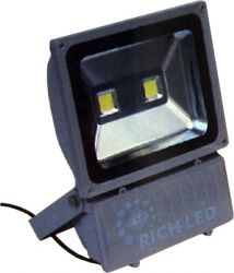 Светодиодный прожектор RICH LED RL-FL-12-100 -W