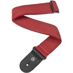 Planet Waves PWS-101   