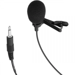 Pasgao PL90 SALE  петличный конденсаторный микрофон, круговой, черного цвета