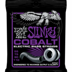 Ernie Ball P02731