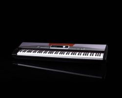 SP5100+stand Цифровое пианино, со стойкой, Medeli