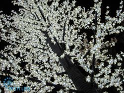 Светодиодное дерево RICH LED RL-TRC24-350*250-2880 -W