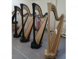RHC21003 Арфа, 40 струн, прямая дека, отделка цвет-Орех, Resonance Harps