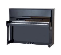 190045-1CK Performance P118 Пианино акустическое, черное, фурнитура хром, W.Steinberg