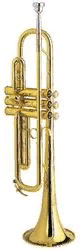 Amati АТR 213(I)-OT  труба Си бемоль студенческая, золотой лак, кейс