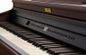Becker BPP-22R цифровое пианино, цвет палисандр, механика New RHA, пластиковые клавиши