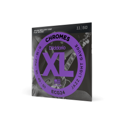 Струны для электрогитары D'ADDARIO ECG24