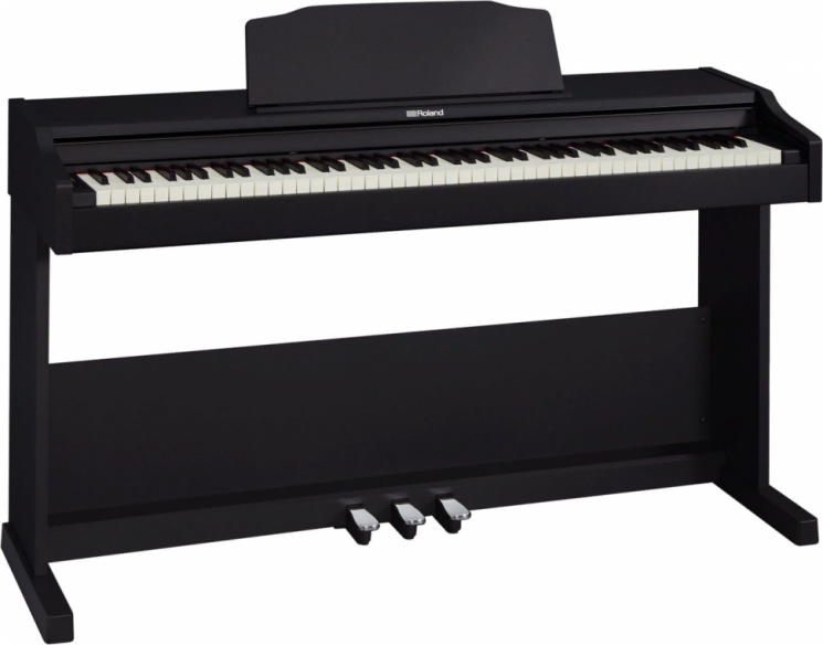 ROLAND RP102-BK
