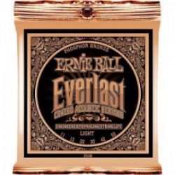 Ernie Ball P02548