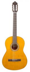 Классическая гитара Valencia VC204H