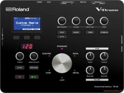 Roland TD-25
