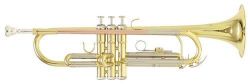 Труба ROY BENSON TR-202