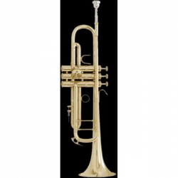 Bach LT18043 Stradivarius  труба Bb профессиональная, лёгкая, bore 11,89mm, лакиров. , с кейсом