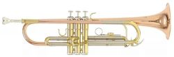 Труба ROY BENSON TR-202 G