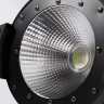 <h2>Светодиодный световой прожектор Estrada PRO LED PAR COB 100</h2>