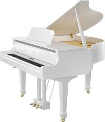 Roland GP609-PW