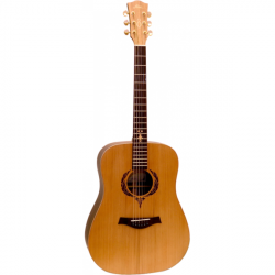 Fina Guitars FD-8351
