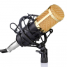 <h2>Микрофон FZONE BM-800 BK</h2>