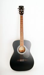 PF51-BKS Акустическая гитара с чехлом, Parkwood