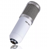 <h2>Студийный микрофон FZONE BM-800 WH</h2>