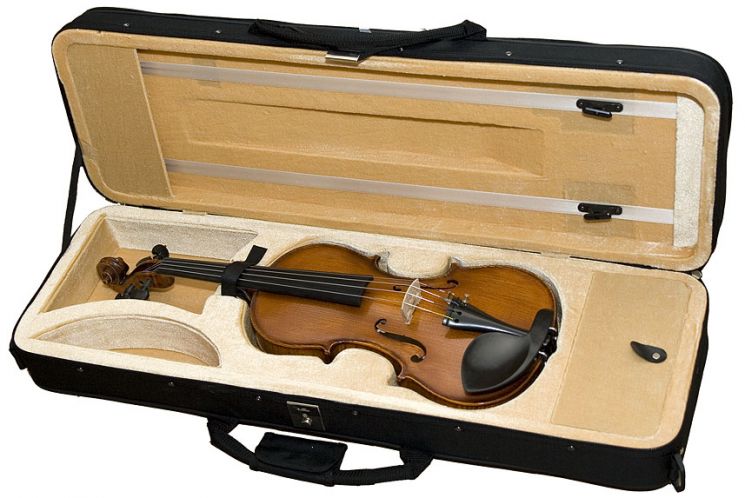 HPVC Professional Кейс для скрипки 4/4 прямоугольный Hora