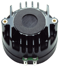 Paudio BM(II)-D38S
