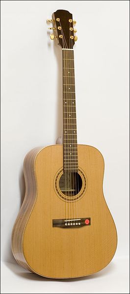 D773 Гитара акустическая, дредноут, Strunal