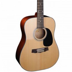 Fina Guitars FD-802