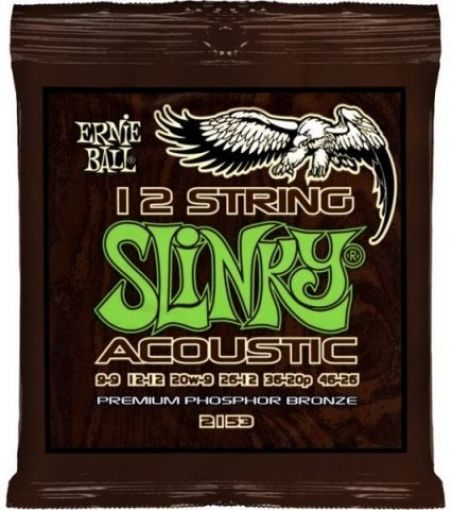 Ernie Ball 2153