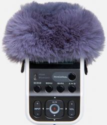 Roland R07-WS