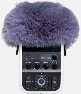 Roland R07-WS