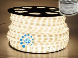 Дюралайт RICH LED RL-DL-2WHM-100-240 -WW
