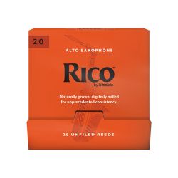 RJA0120-B25 Rico 