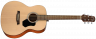 Walden O350W акустическая гитара с чехлом