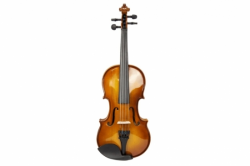 Скрипка Livingstone LVV100 1/2,  в комплекте футляр, смычок, подбородник, канифоль