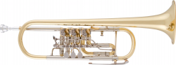 Arnolds&Sons ATR-4000  труба Bb концертная, 3 рлтоторных вентиля, жеая латунь, менз 11мм, растр 130, лак