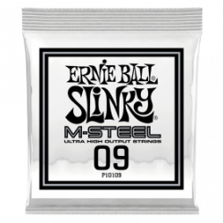 Ernie Ball P10109