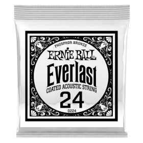 Ernie Ball P10224