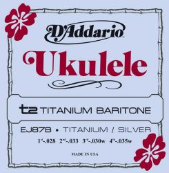 EJ87B Titanium D'Addario