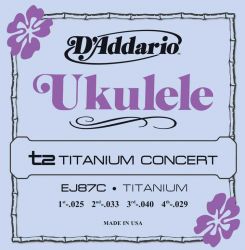 EJ87C Titanium D'Addario